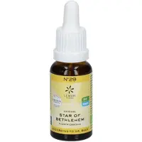 Bach Bloesems Original Nr. 29 Star of Bethlehem | 20 ml