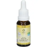 Hager Pharma GmbH Bach bloesemremedies white chestnut bio