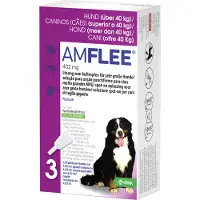Amflee Spot-on Hond