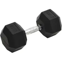 vidaXL Halters 25 kg gietijzer