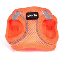 Gloria Hondentuig Trek Star, oranje, maat XS, geschikt voor een borstomvang van 27-28 cm of 31-34,6 cm