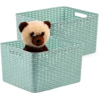 PlasticForte Opbergmand - 2x - Kastmand - rotan kunststof - mintgroen - 28 Liter - 34 x 40 x 23 cm