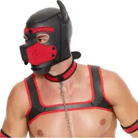 Ouch! Puppy Play Complete Set - Rood