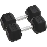 vidaXL Halters 2 st 12,5 kg totaal gietijzer