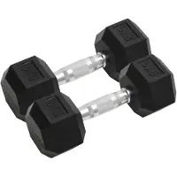 vidaXL Halters 2 st 8 kg totaal gietijzer