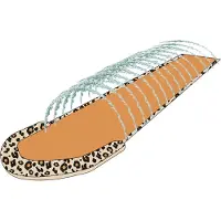 Swim Essentials Zwem Essentials Luipaard Dia