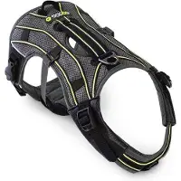 EQDOG Pro Harness hondentuig - Maat XS