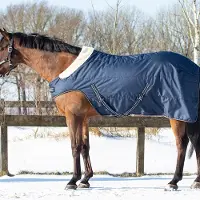 QHP Staldeken 200gr Donkerblauw