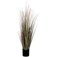 Mica Decorations dogtail gras paars in plastic pot dia in cm: 12 - 90