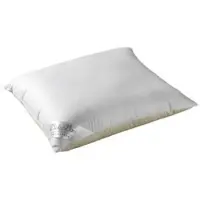 Eleganzzz Veren Hoofdkussen Eendenveren - 60x70cm
