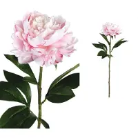Ptmd collection PTMD Peony Flower Pioenroos Prikker - 25 x 18 x 66 cm - Lichtroze