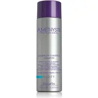 Farmavita Amethyste Purify Shampoo Dandruff Control 250ml