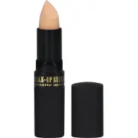 Make-up Studio Camouflage Stick Concealer 4 g RED 2