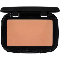 Make-up Studio Compact Earth Poeder 62 g P2 - P2