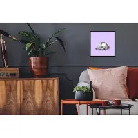 PosterMonkey Posterlijst - Kamerdecoratie - Schildpad - Discobal - Disco - Dier - Paars - 40x40 cm - Decoratie woonkamer - Foto in lijst