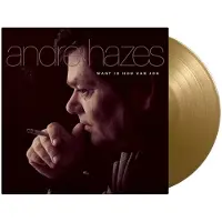 MUSIC ON VINYL Andre Hazes - Want Ik Hou Van Jou (LP)