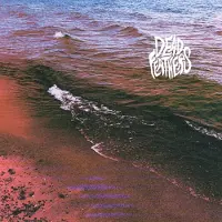 Ginza.se Dead Feathers - Full Circle (LP)