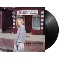 MUSIC ON VINYL Delaware