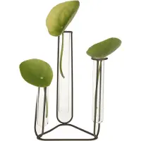 Dijk Natural Collections Stekvaasje/bloemenvaasje reageerbuis model - D12 x H22 cm - op voet van metaal