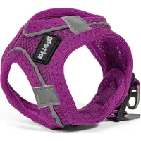 Big Buy Cooking Hondentuig Gloria Trek Star, paars, XXS, voor honden met een borstomvang van 24-26 cm of 28-28,6 cm