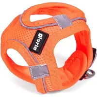 Big Buy Cooking Hondentuig Gloria Trek Star, oranje, maat M, voor honden met een borstomvang van 32,8-35,4 cm en een halsomvang van 45-47 cm