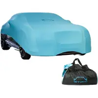 Kippers Rijssen Car Cover