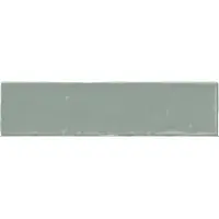 Jabo Moos wandtegel groen handvorm 6.5x26 glans