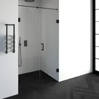 Brauer Void nisdeur 2-delig helder glas 120x200 omkeerbaar met draaideur 60 aan muur incl. glascoating mat zwart