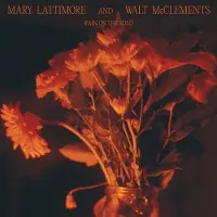 Ginza.se Mary Lattimore & Walt McClements - Rain On The Road (LP) (Coloured Vinyl)