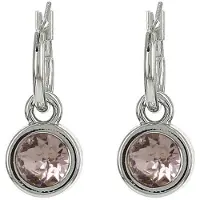 Biba Oorhangers zilver met steen Silk