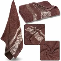 Sarcia.eu Licht Bourgondische Katoenen Handdoek met Decoratief Borduurwerk, Egyptisch Patroon, zacht, compact formaat 48x100 cm