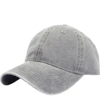 LGT JWLS Effen Baseball Cap met Faded Look - Grijs
