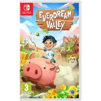 Switch Everdream Valley