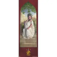 Merkloos Poster Harry Potter Gryffindor Password 53x158cm