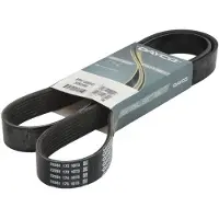 DAYCO V-riem 8PK1500HD