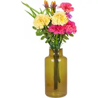 Bela Arte Bloemenvaas Milan - transparant oker geel glas - 15 x 30 cm - melkbus vaas met smalle hals