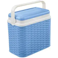 Gebro Pharma Gmbh Koelbox blauw rotan 10 liter 30 x 19 x 28 cm - Koelboxen