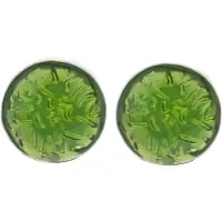 Behave - Oorsteker - Groen Epoxy - Rond 1 cm doorsnede