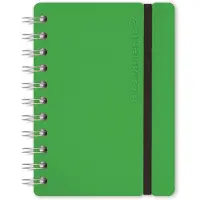 Vacavaliente - Notitieboek A6 - Gerecycled Leer - Groen