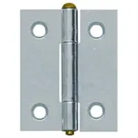 Axa Smal scharnier gegalvaniseerd 40 x 32mm 1100-01-52/0W