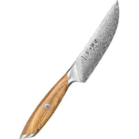 HEZHEN X01 Flagship Series - Steakmes - Damascus Poederstaal (73 laags met kern van 14Cr14MoVNb) – Olijfhout – Professioneel vlijmscherp damastmes - Inclusief mooie geschenkdoos