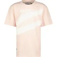 Raizzed T-shirt Hush met printopdruk roze/wit Grijs Jongens Katoen Ronde hals - maat 164