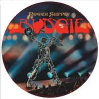 Coast2Coast Budgie - Power Supply (LP) (Picture Disc)
