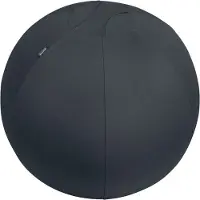 Leitz Ergonomische zitbal Ergo Sit Ball 65 cm Grijs