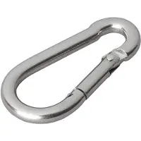 Proplus Karabijnhaak RVS 5x50mm Klein [Carabijnhaak - Musketon - Veerhaak]