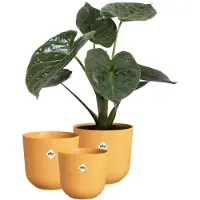 Elho Jazz Rond - Bloempotten voor Binnen - 100% Gerecycled Plastic - Set van 3 - Ø 14, 16, 19 cm - Amber geel
