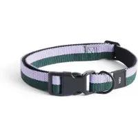 HAY - Dogs Collar Flat - M/L - Lavender and green stripe