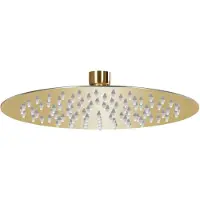 vidaXL Regendouchekop rond 20 cm roestvrij staal goudkleurig