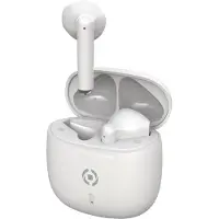 Celly BUZ2, True Wireless Stereo (TWS), Gesprekken/muziek, 20 - 20000 Hz, 42 g, Koptelefoon met microfoon, Wit