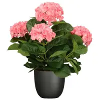 Mica Decorations Hortensia kunstplant/kunstbloemen 45 cm - roze - in pot zwart mat - Kunstplanten